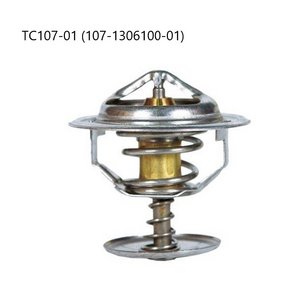 Термостат ТС107-01 (80°С) КАМАЗ МАЗ ЗИЛ ГАЗ открытый ТС107.1306100-01 ZTD