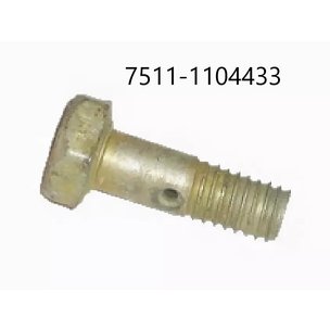 Болт-штуцер М6х1.0х17 МАЗ,ЯМЗ-7511 крепления трубки дренажной 7511-1104433