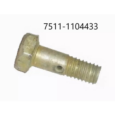 Болт-штуцер М6х1.0х17 МАЗ,ЯМЗ-7511 крепления трубки дренажной 7511-1104433