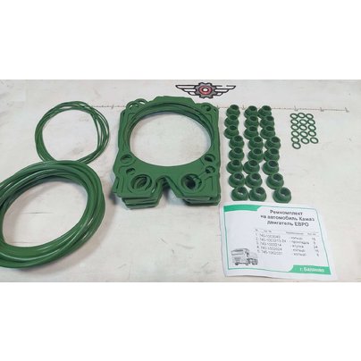 Рем.комплект ГБЦ КАМАЗ головки блока на 8-цил (5 наим.) 740,740.11 Евро 