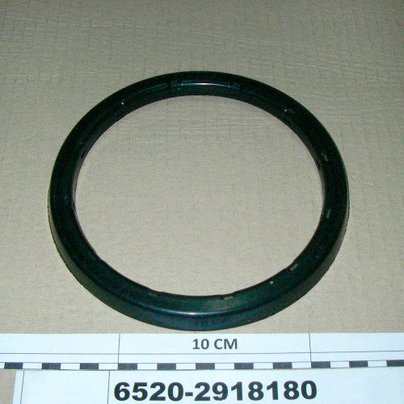 Манжета башмака балансира 145х178х14 КАМАЗ-6520 