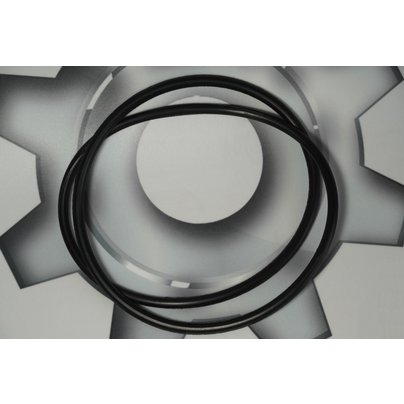 Кольцо уплотнительное МАЗ, КАМАЗ-6520 бортовой передачи (5336-3104140) 