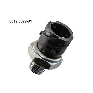 Датчик аварийного давления масла 6012.3829-01 под ключ 22 