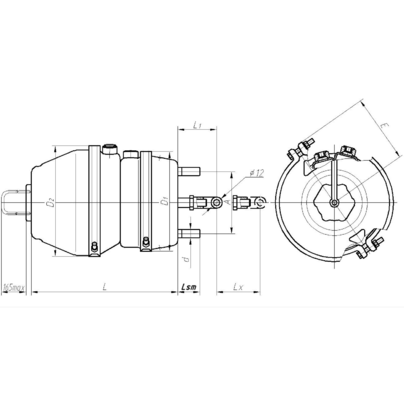 Камера тормозная задняя (тип 30/30) энергоаккумулятор МАЗ 