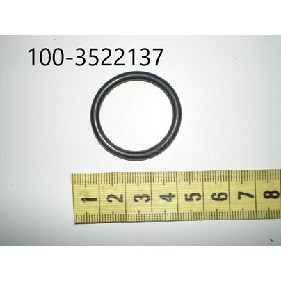 Кольцо оси колодки КАМАЗ суппорта 100-3522137 РФ